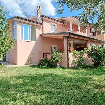 Stelia Apartment Novigrad  Luaran gambar